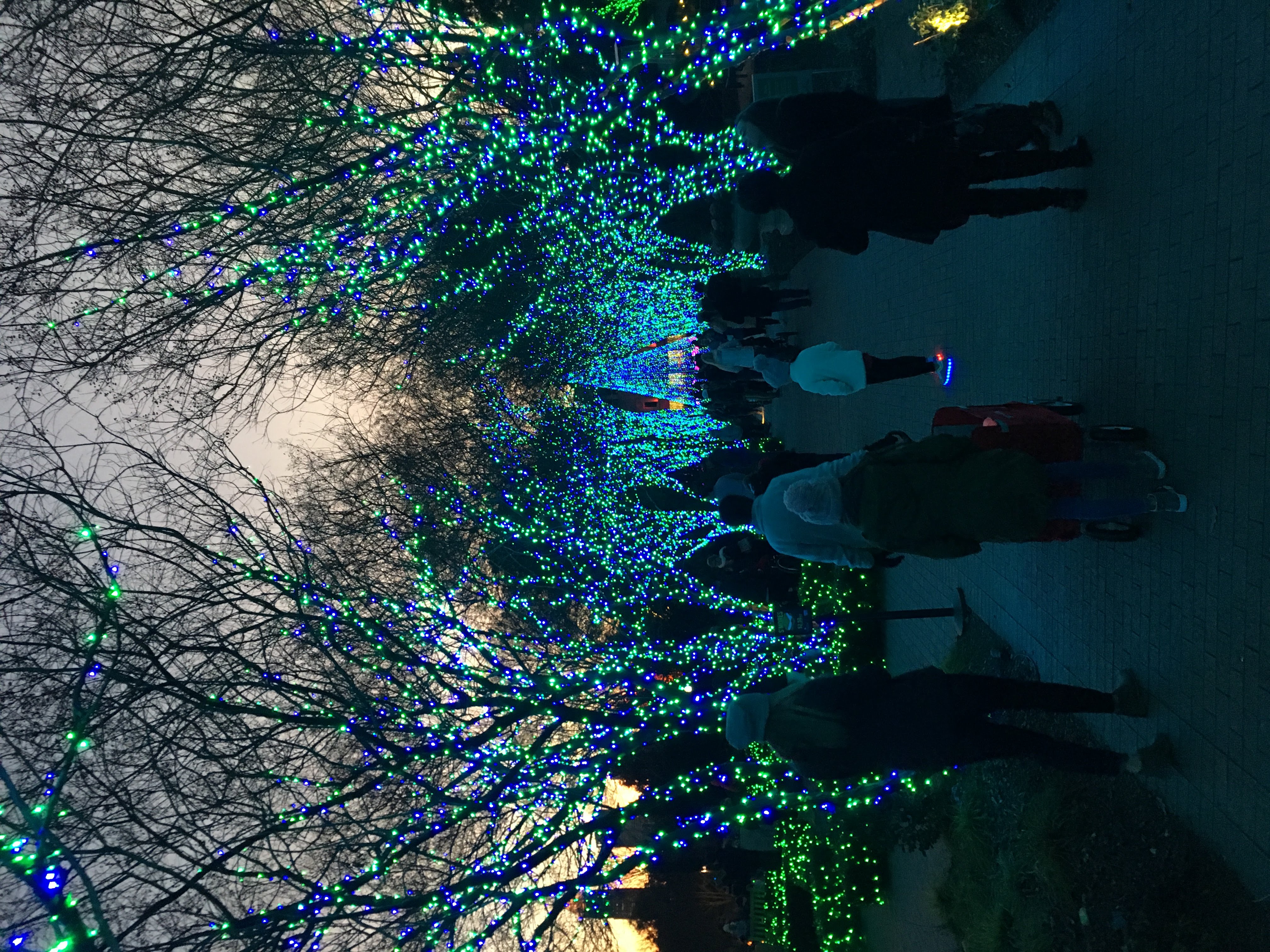 Atlanta Botanical Gardens' Holiday Lights